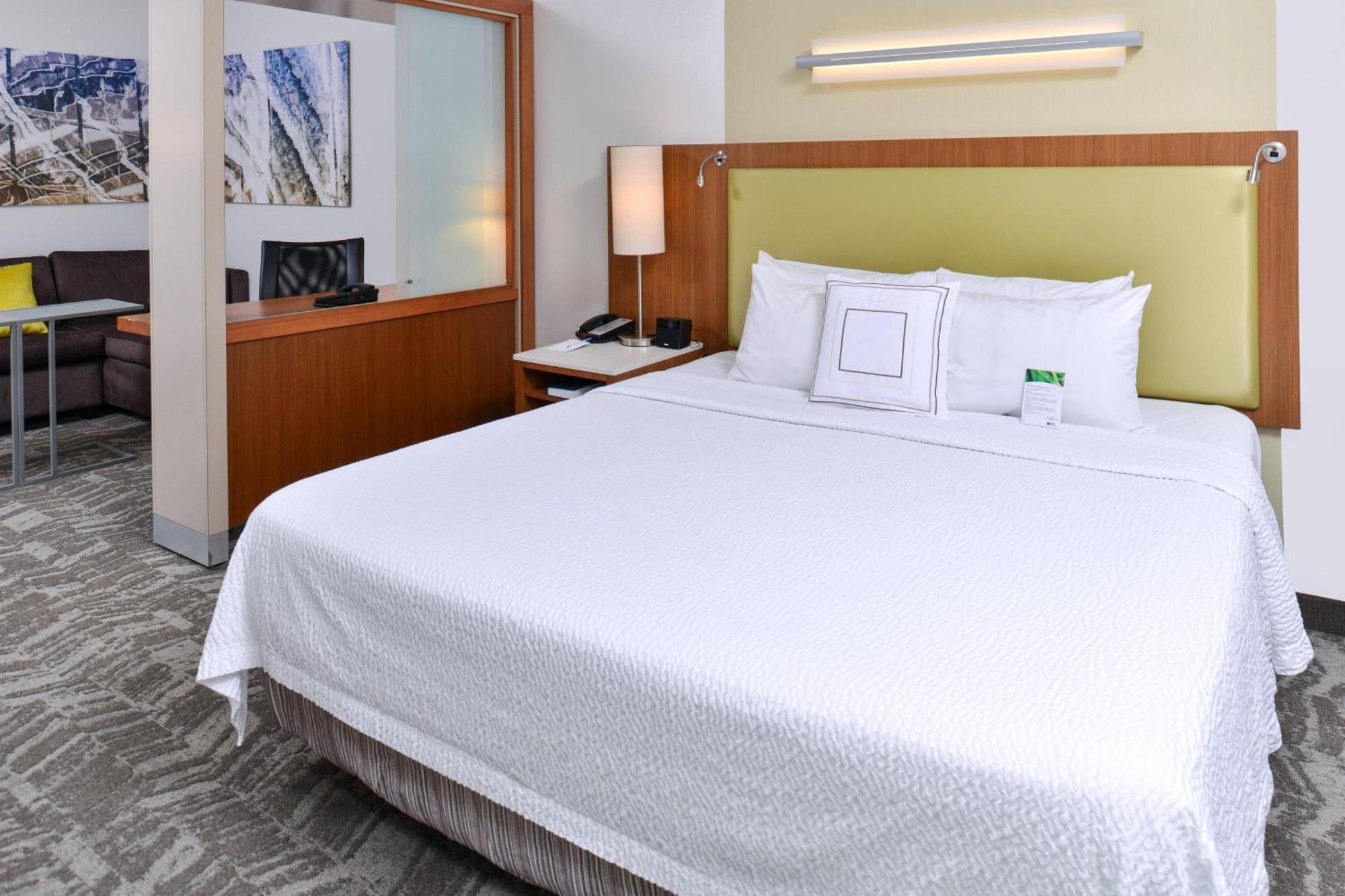 สปริงฮิลล์ สวีท ดีทรอยต์ เมโทร แอร์พอร์ต โรมูลุส Hotel รอมิวลัส ภายนอก รูปภาพ